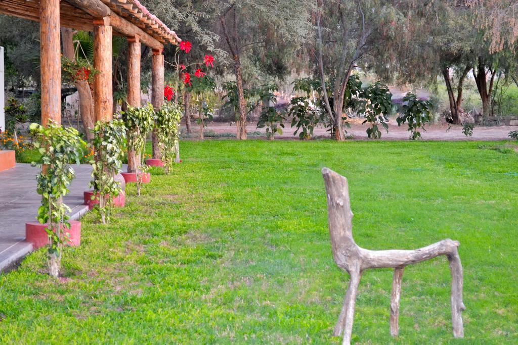 Hotel Fundo San Rafael Nazca Zewnętrze zdjęcie